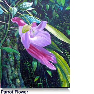 Parrot Flower